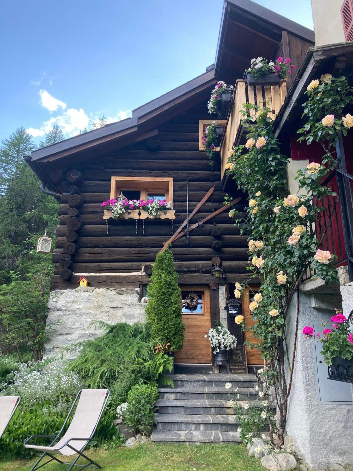 "Chalet Dei Fiori" Room & Apartment Bedretto Exterior foto